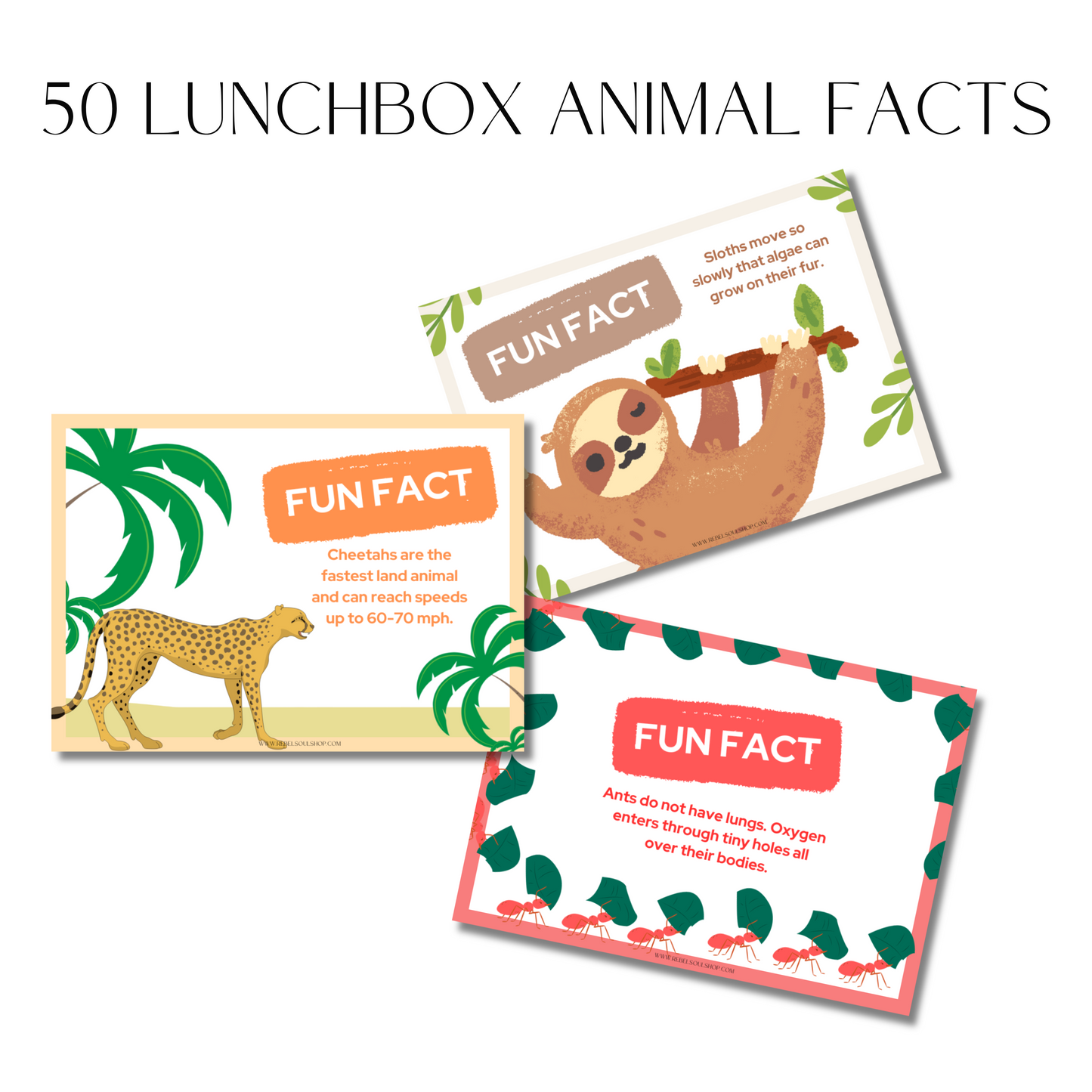 50 Printable Lunchbox Animal Facts